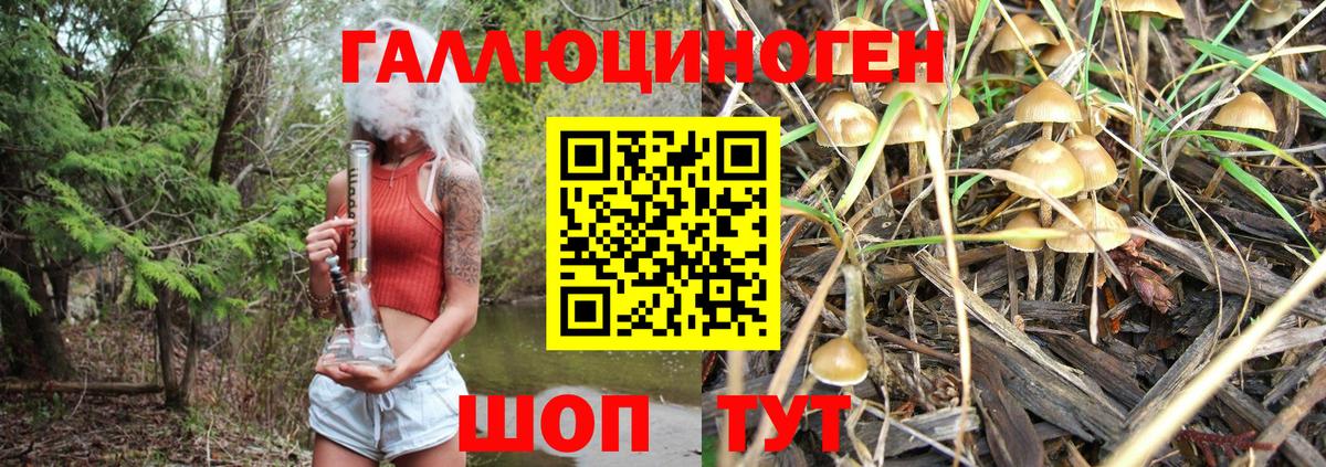 Галлюциногенные грибы Psilocybine cubensis Кириши