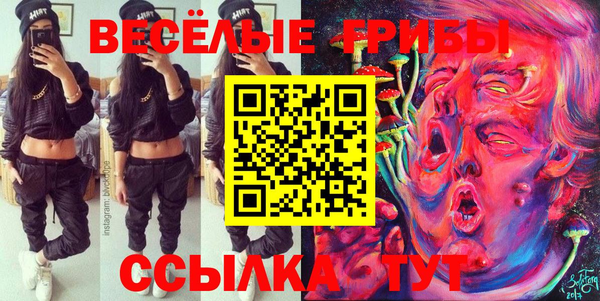 Кириши  магазин    Вход с VPN  Галлюциногенные грибы Cubensis  Псилоцибиновые грибы прущие грибы 